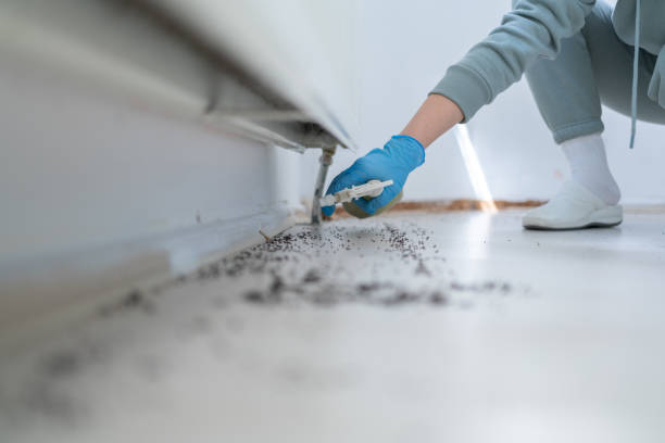 Best Affordable Pest Control Services  in Rutgers University Busch Campus, NJ